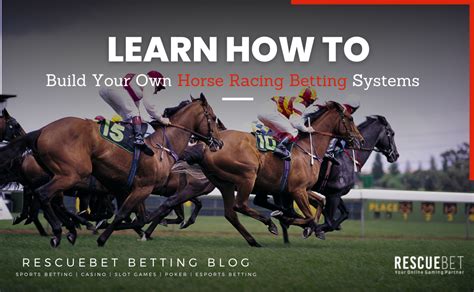 Can someone explain the whole horse race gambling system in .